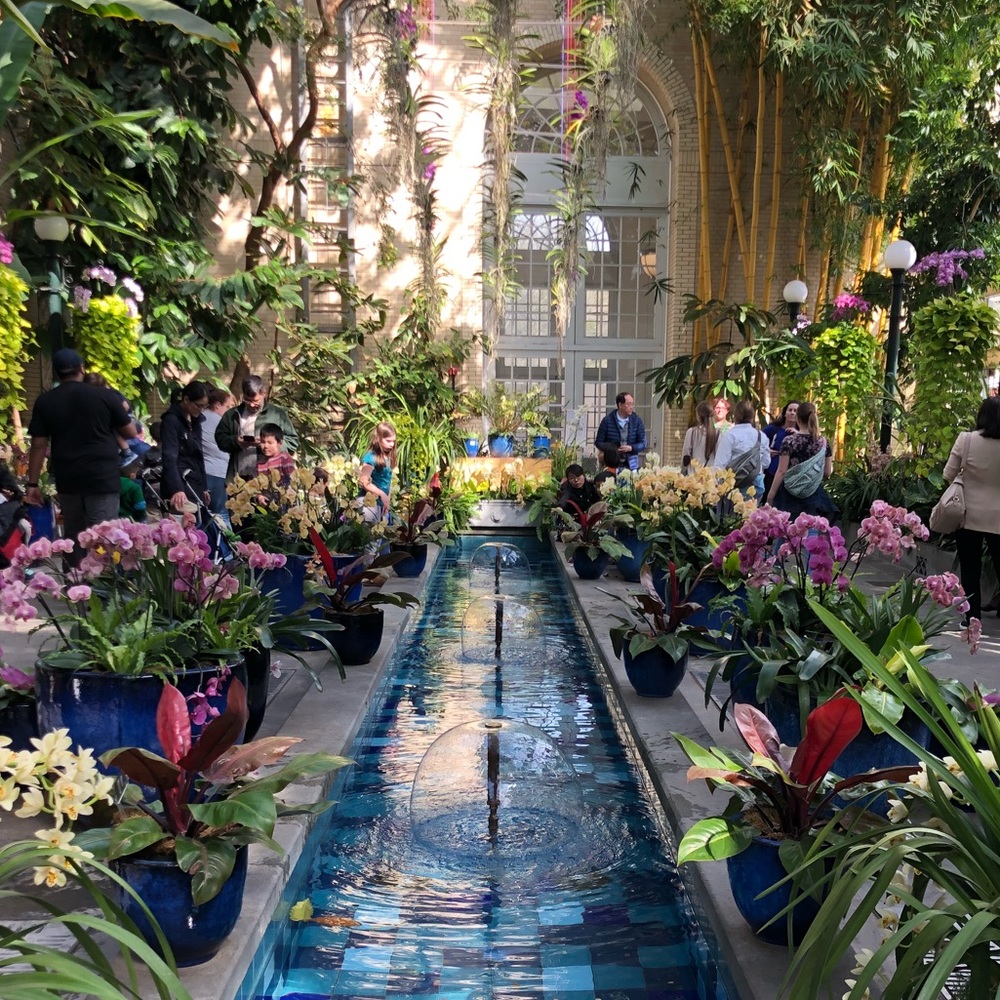 Meet your Posher, Carly